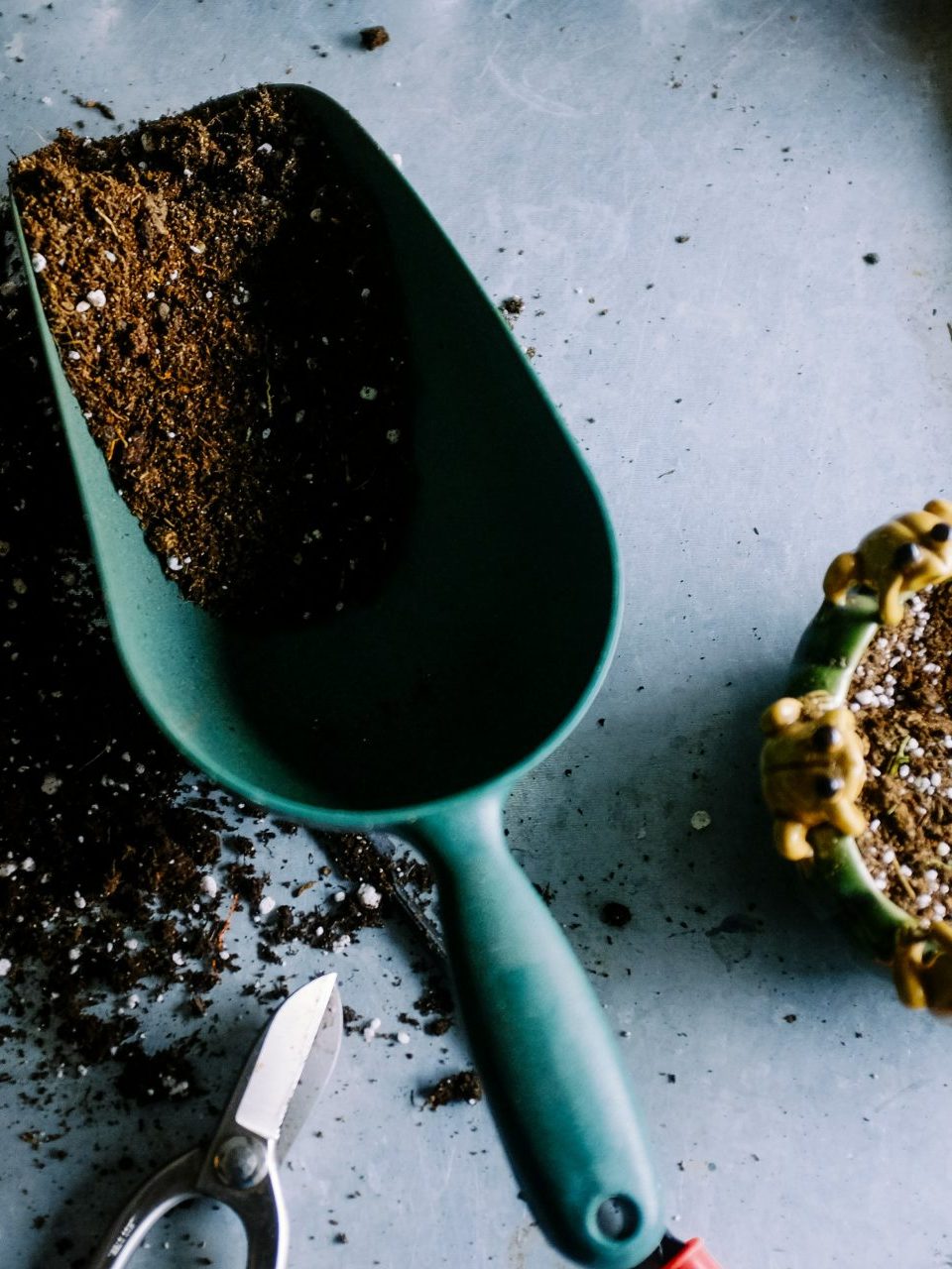 Garden tools and potting soil