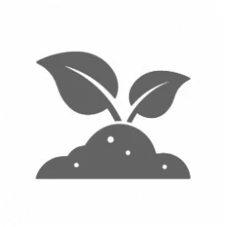 Plant sprouting from soil